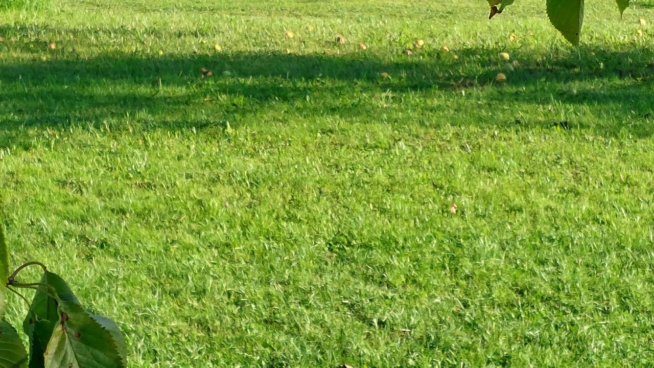 Gartenplatz Gartenplatz